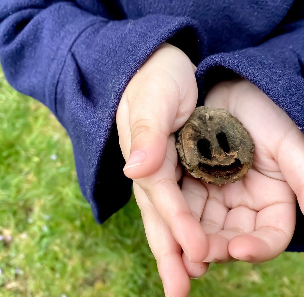 backyard scavenger hunt