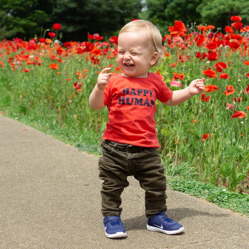 Laughing toddler outside near roses