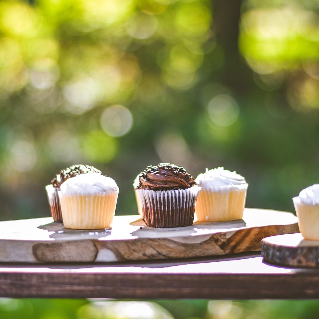 chocolate and vanilla cupcakes on a picnic table