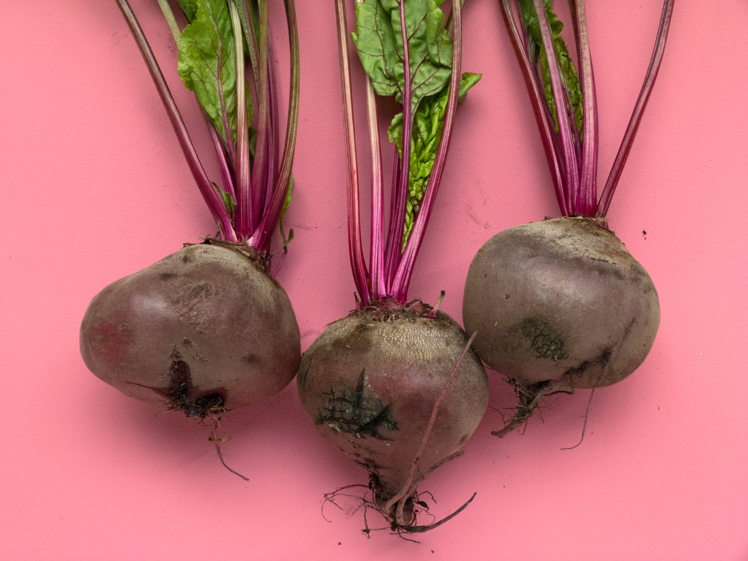 Three freshly picked beets