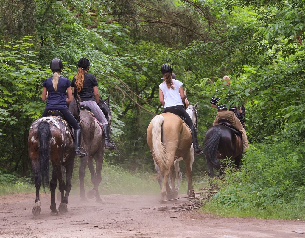 Tweens on a trail ride birthday party