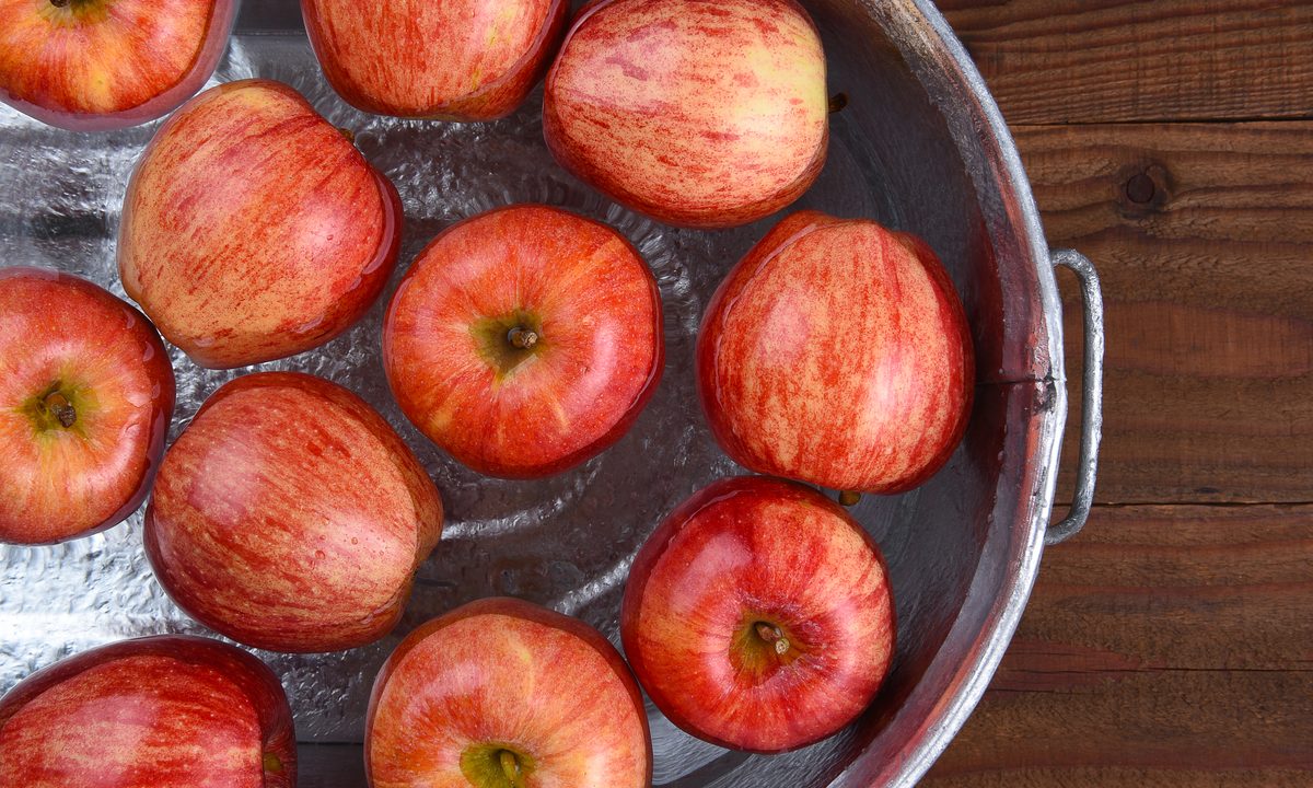 Bobbing for apples pail