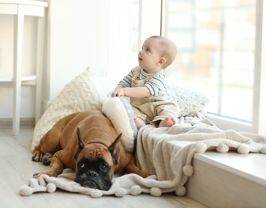 baby with dog by window