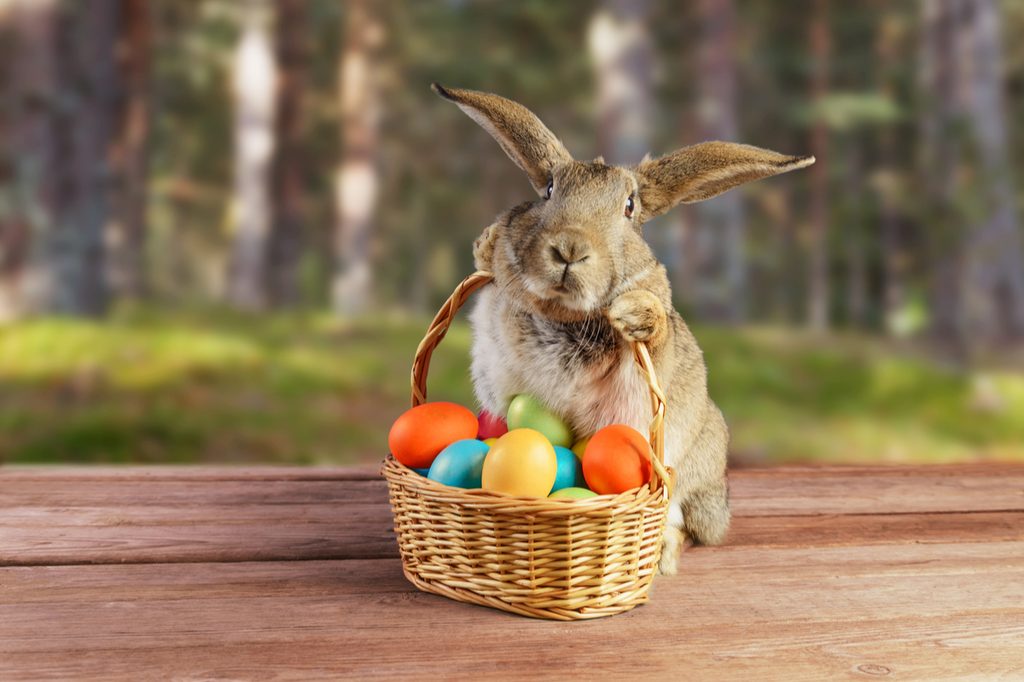 Cute bunny holding an Easter basket