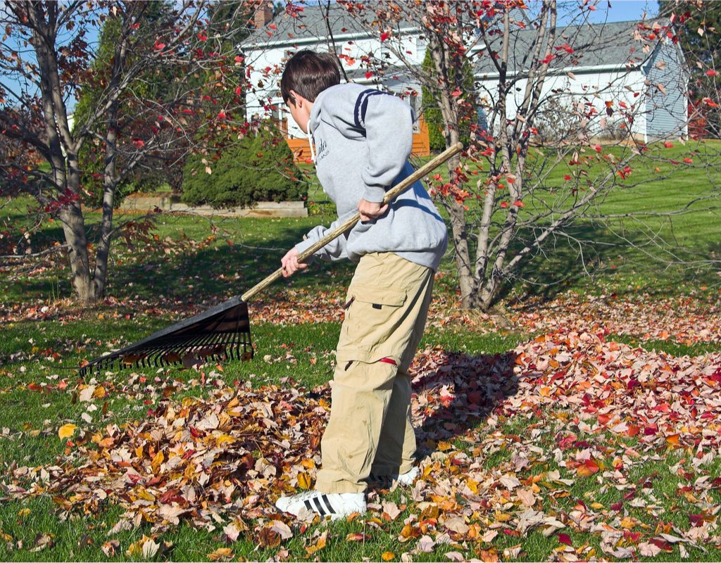 Boy raking leaves in the yard