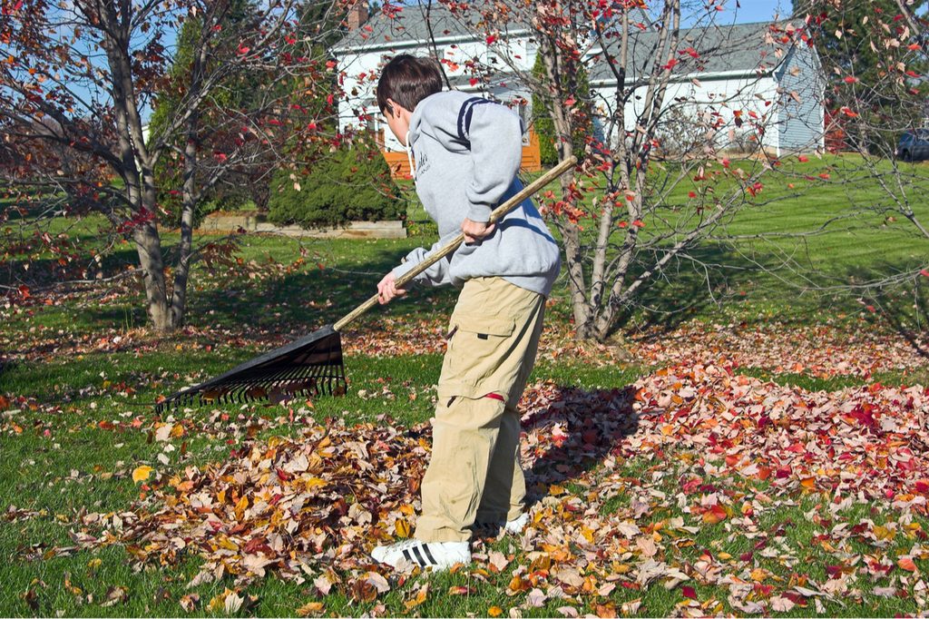 Boy raking leaves in the yard