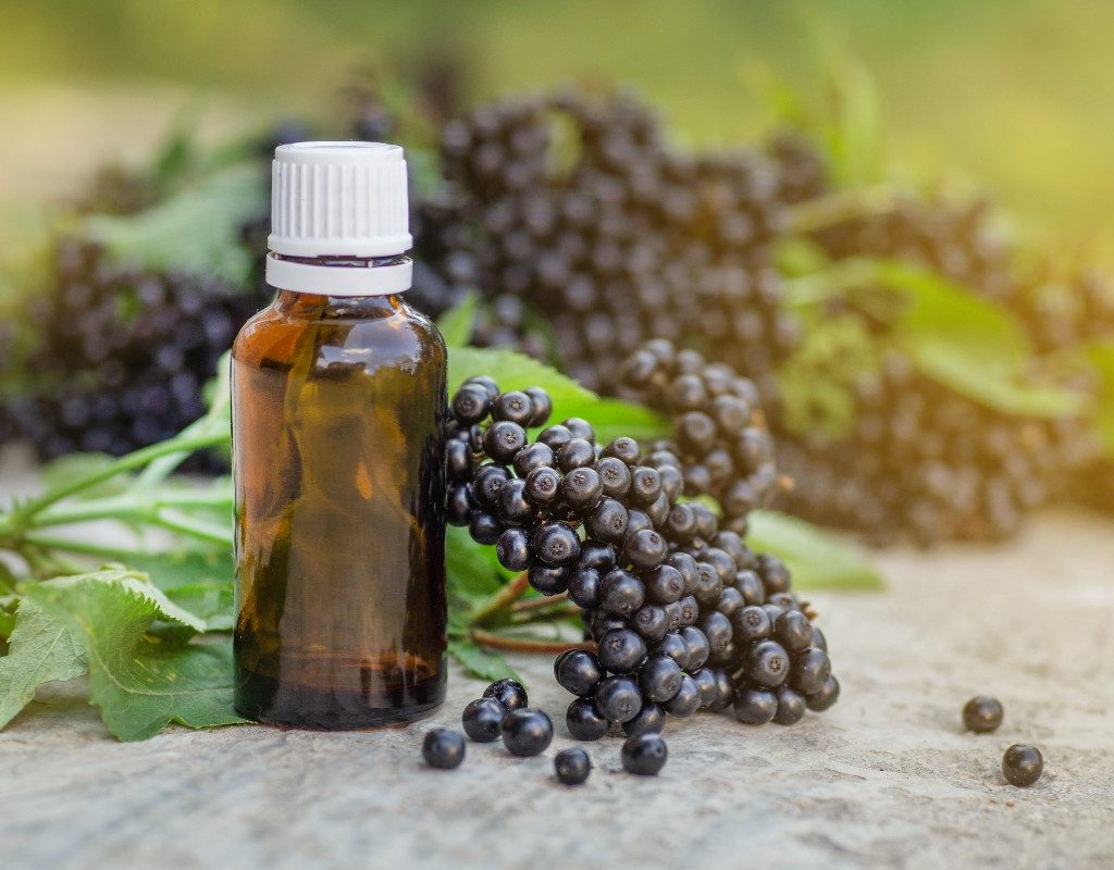 elderberry syrup