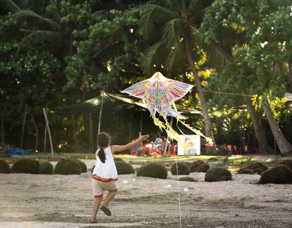 little girl watching kite