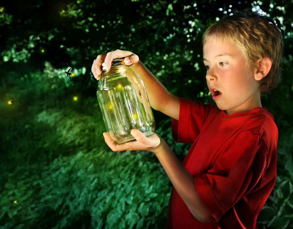 boy catching fireflies at a backyard party