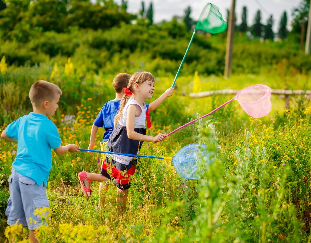 kids catching butterflies at a party