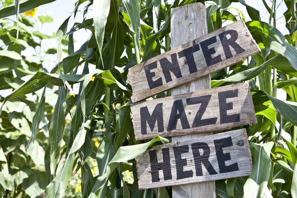 Entrance to a fun fall corn mazel