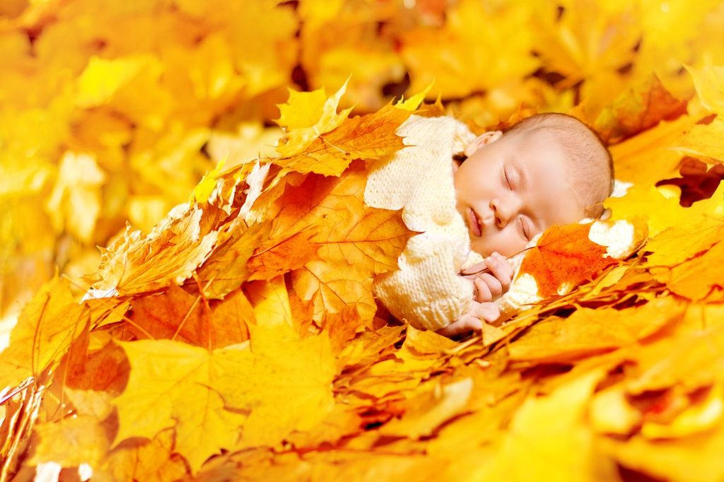 Baby sleeping In leaves