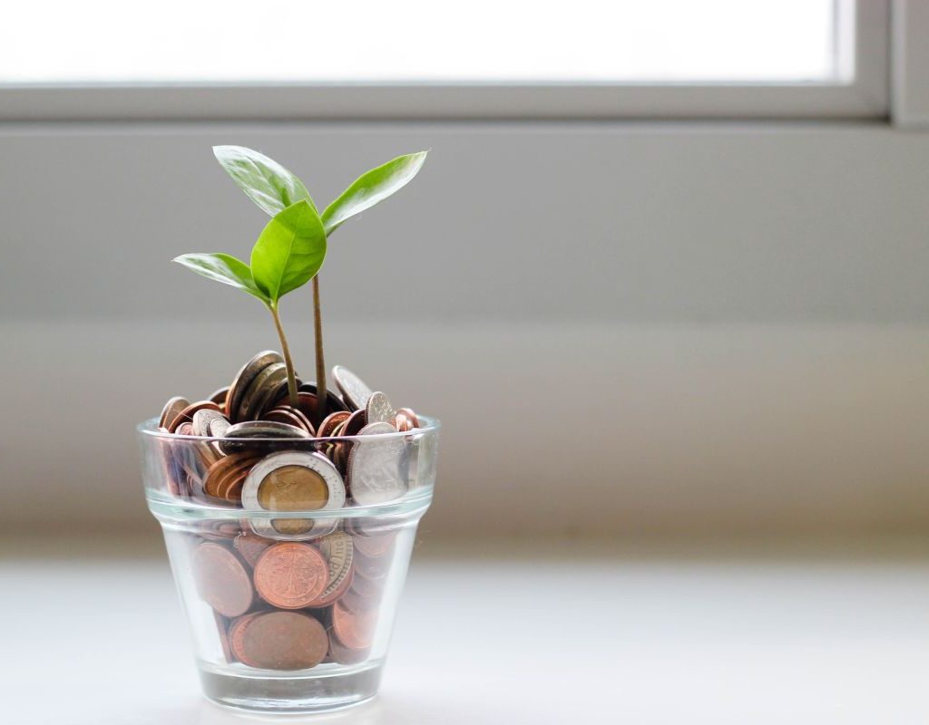 Little Money Plant Jar