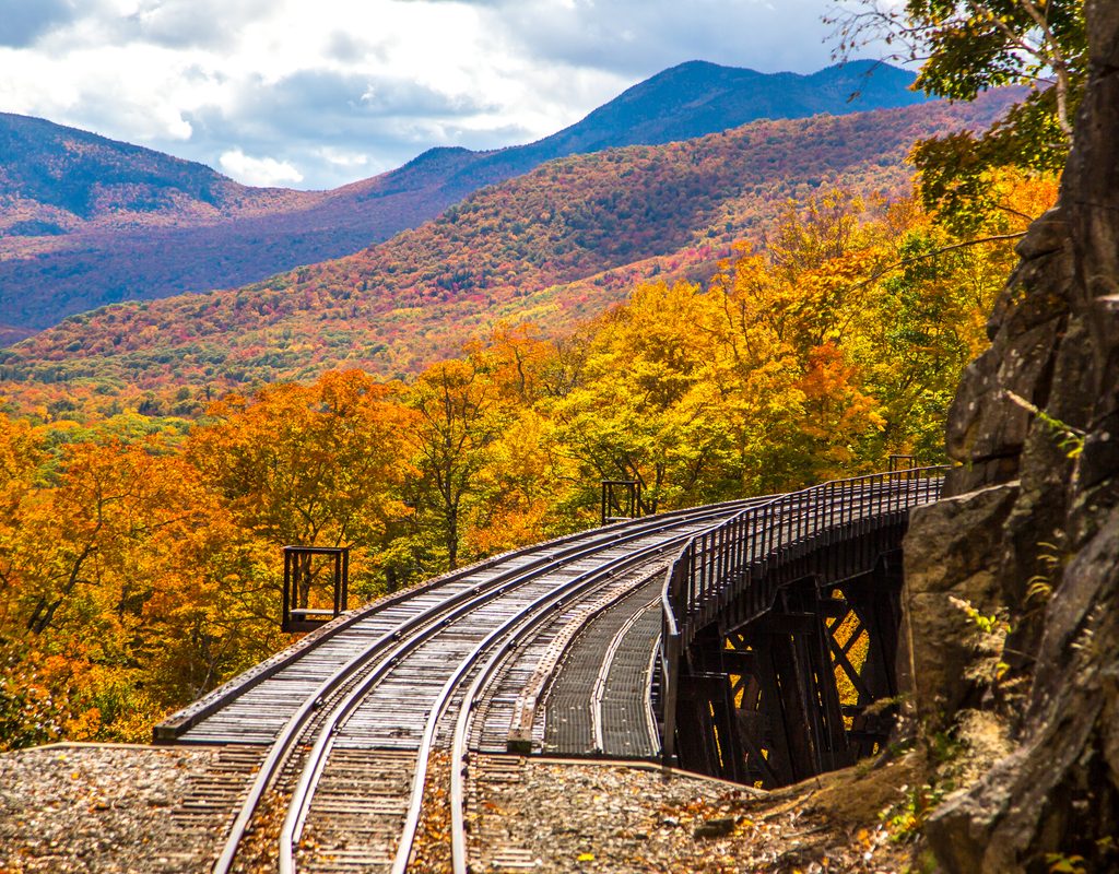 View from a scenic railroad fall foliage ride