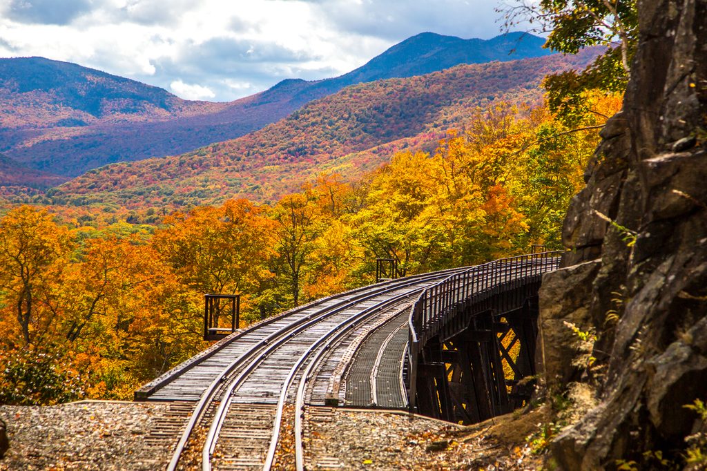 View from a scenic railroad fall foliage ride