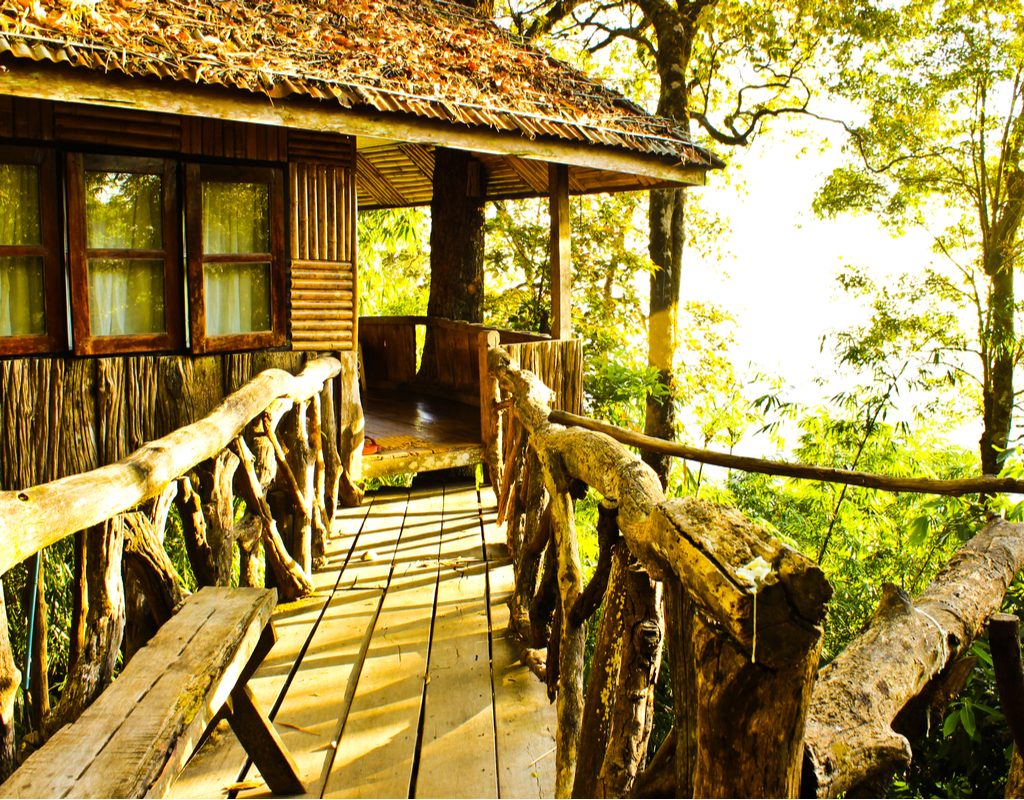 A beautiful tree house.