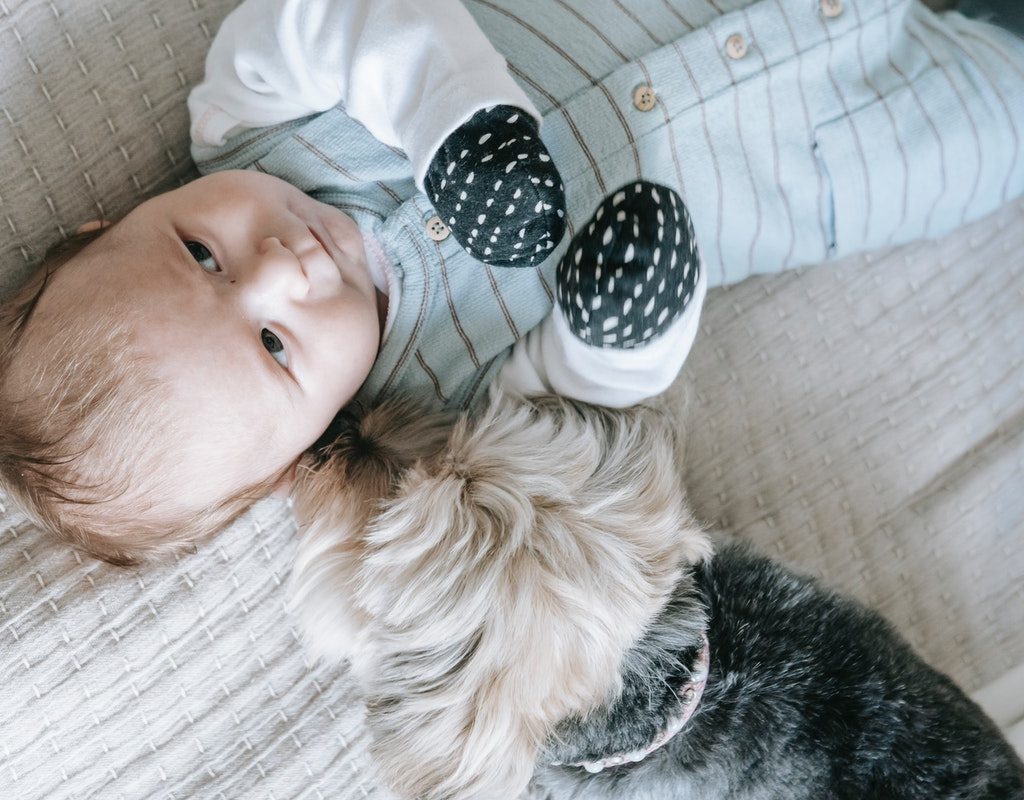 Baby laying on bed beside the dog
