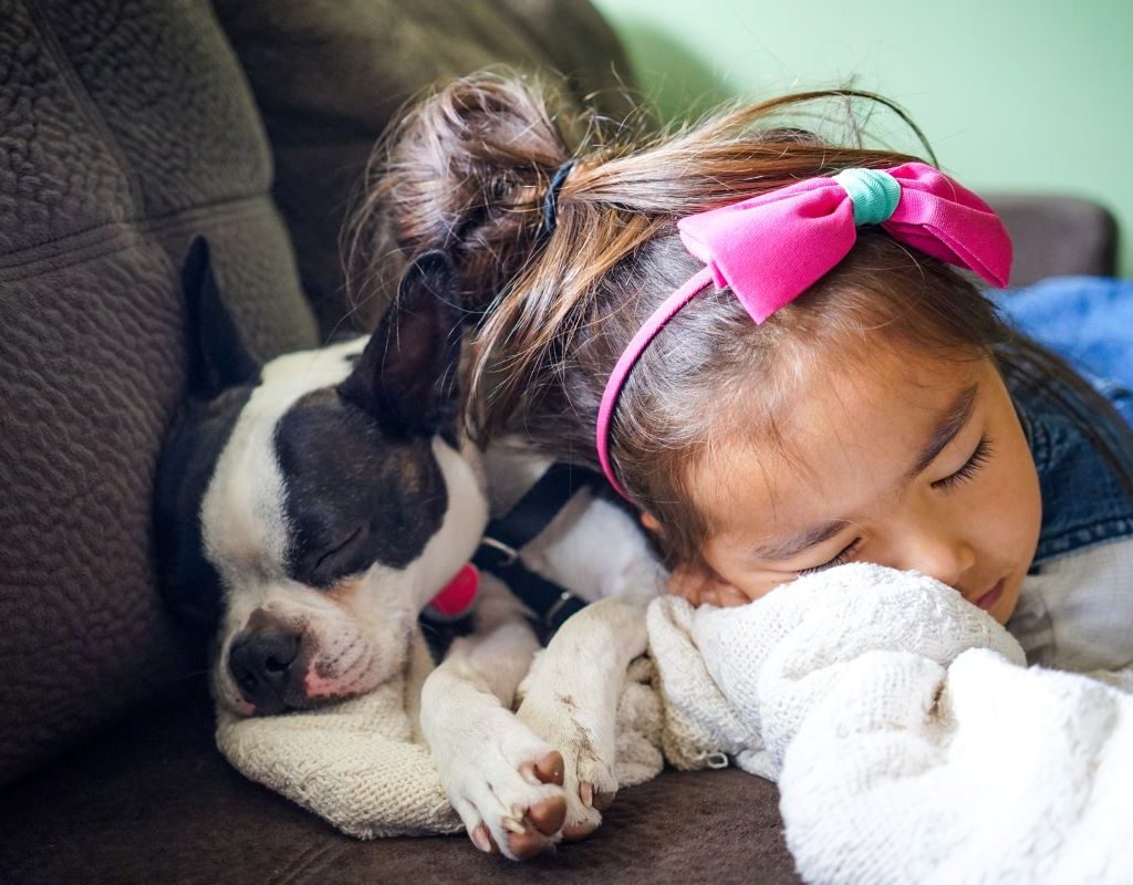 Little girl sleeping on the couch with the dog.