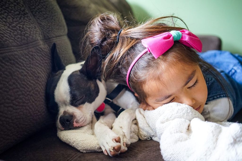Little girl sleeping on the couch with the dog.