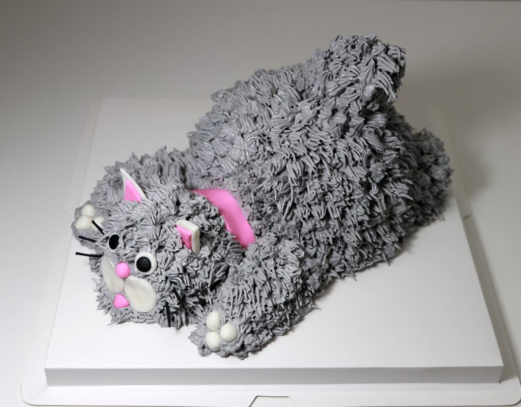 Cat cake