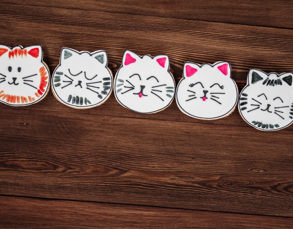Cat cookies