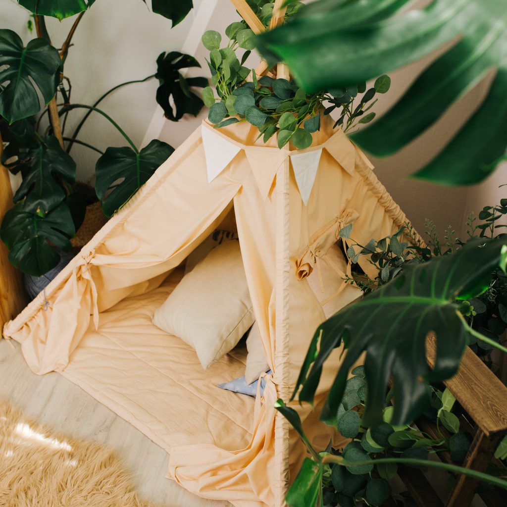 children's tent and plants