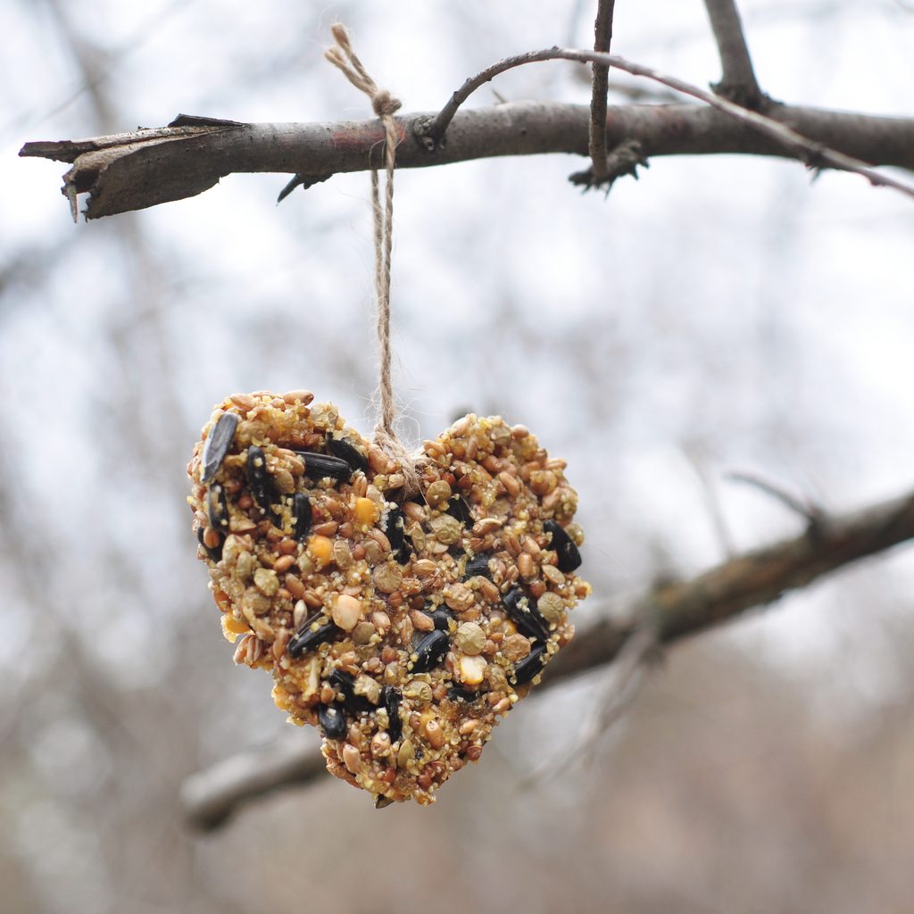 DIY birdseed ornament for the holidays