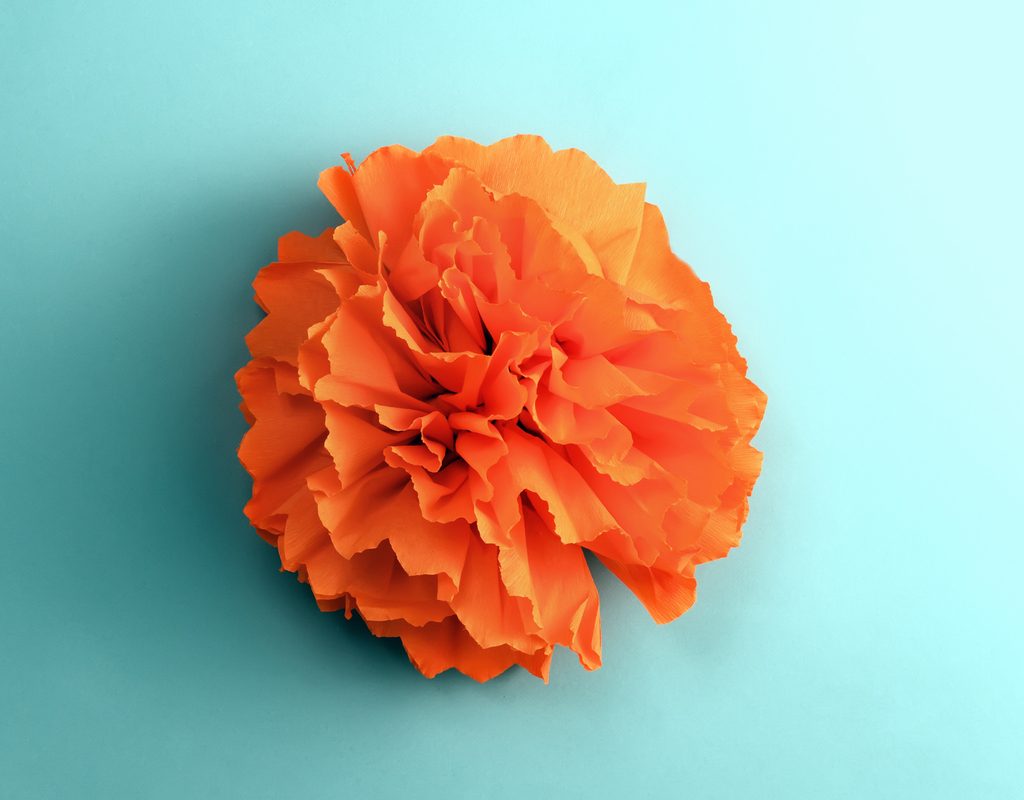 orange tissue paper flower