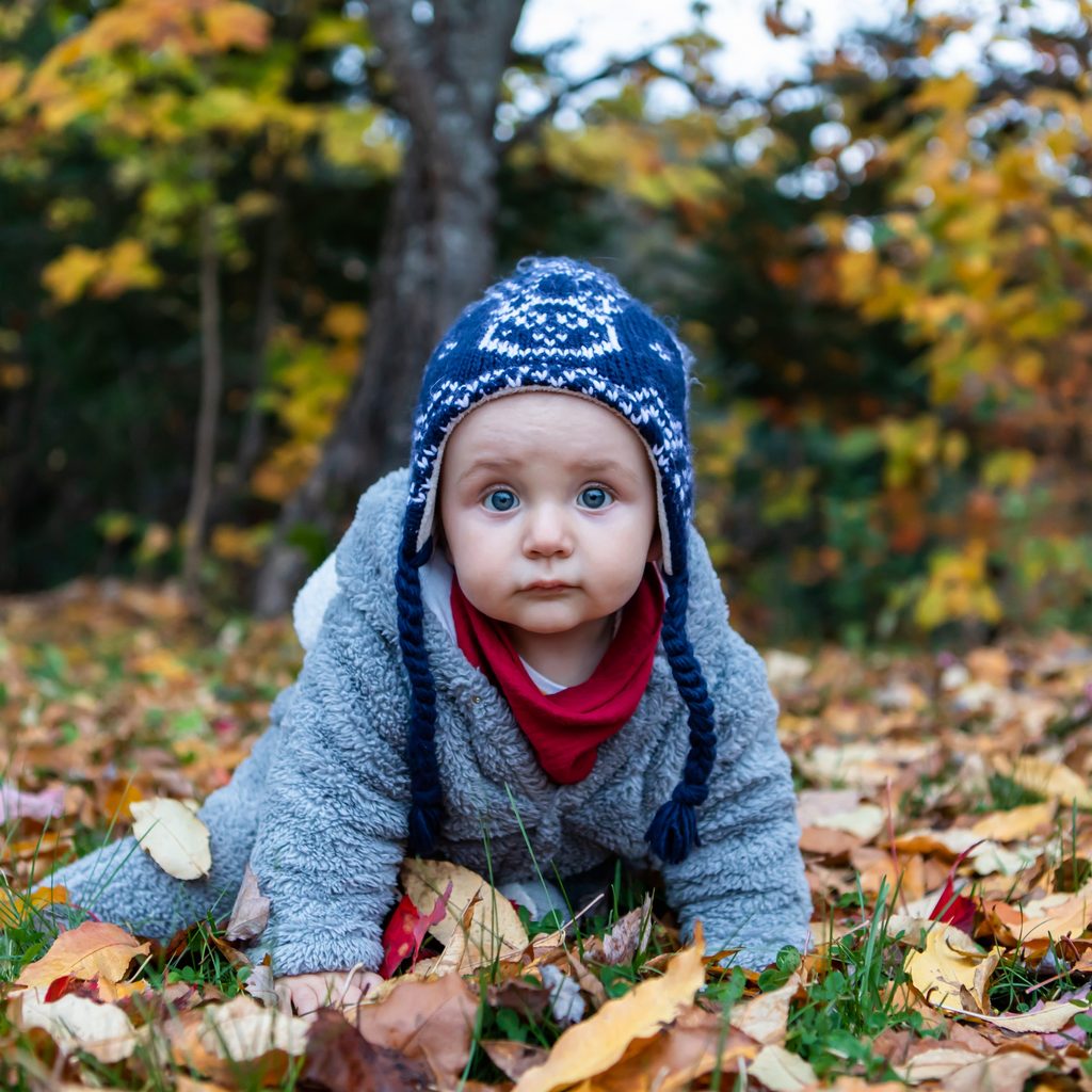 baby-sitting-in-leaves-in-woods