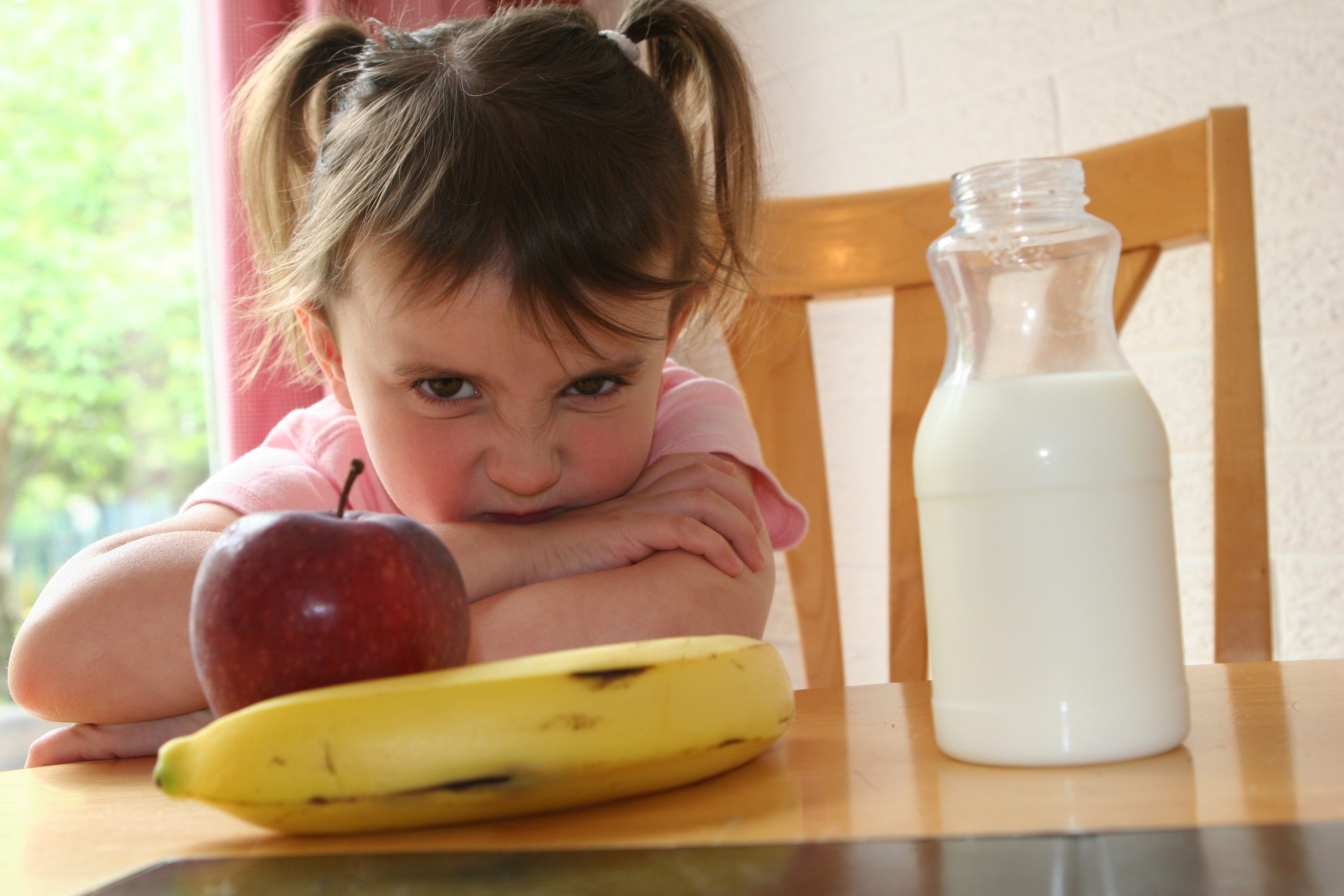 Toddler refusing to eat healthy lunch/snack of fruit and drink her milk