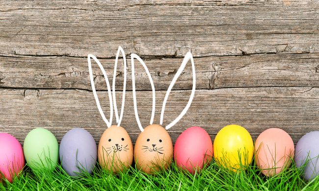 Colored Easter eggs lined up in the grass