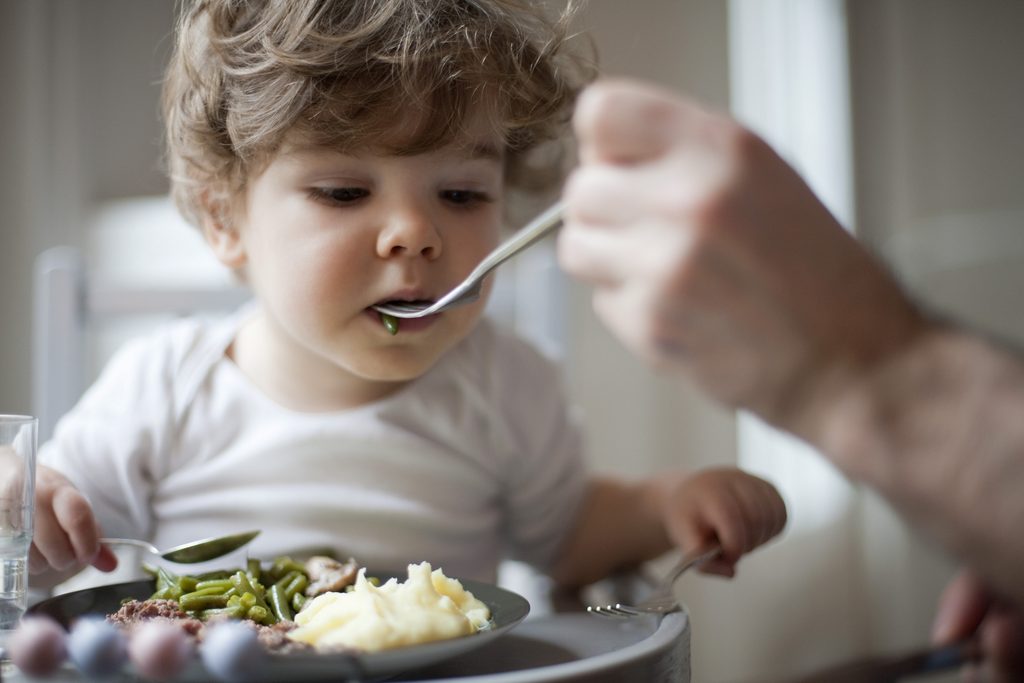 toddler-meal-ideas