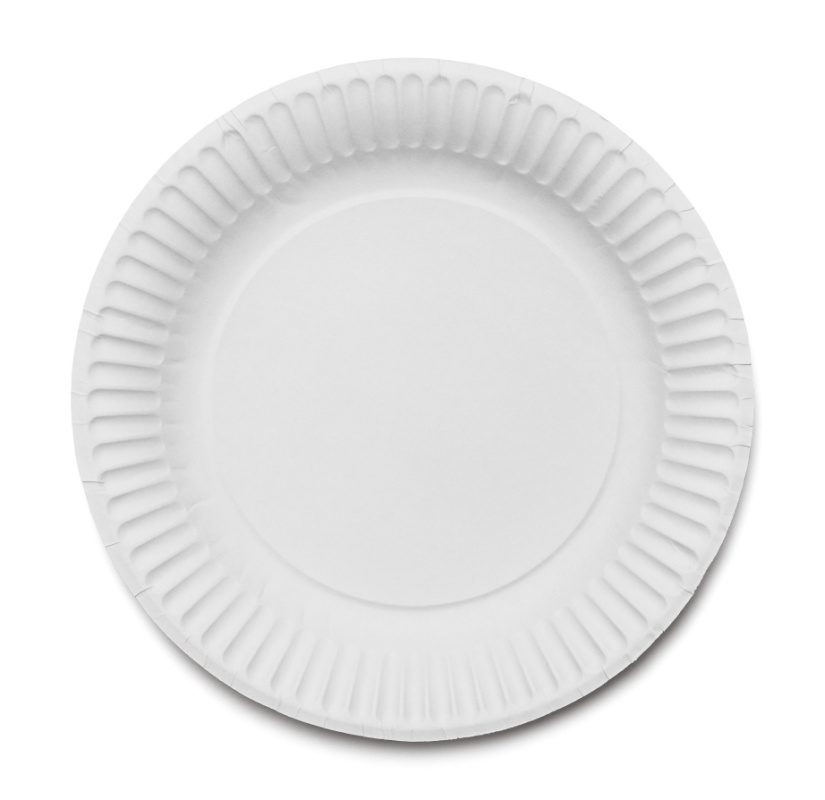 Paper plate to use for a craft project