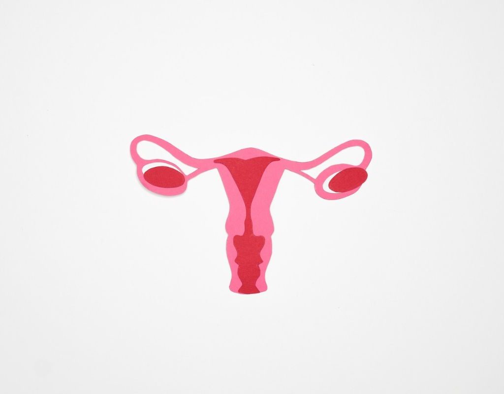Diagram of a uterus