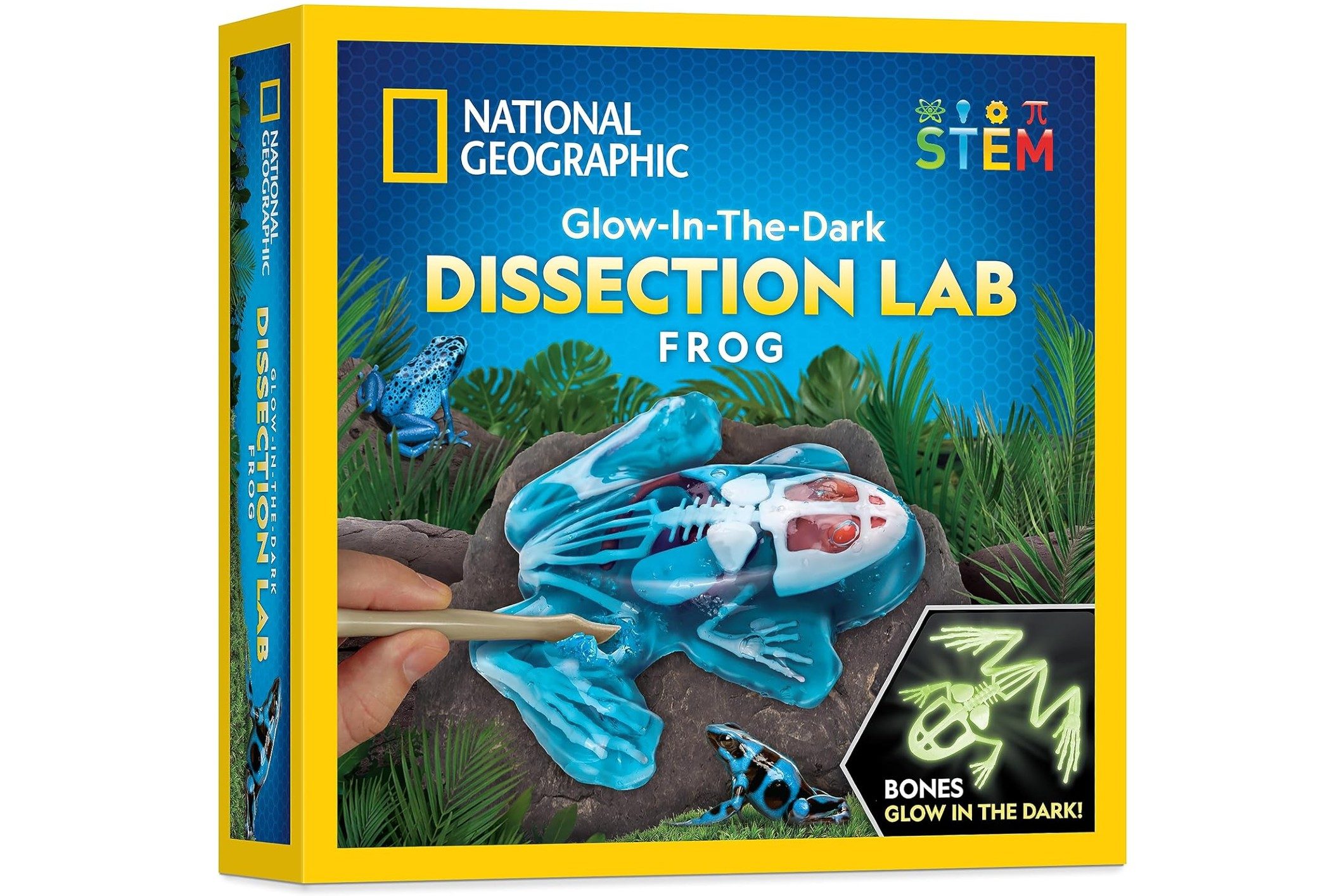 National Geographic Frog Dissection Kit