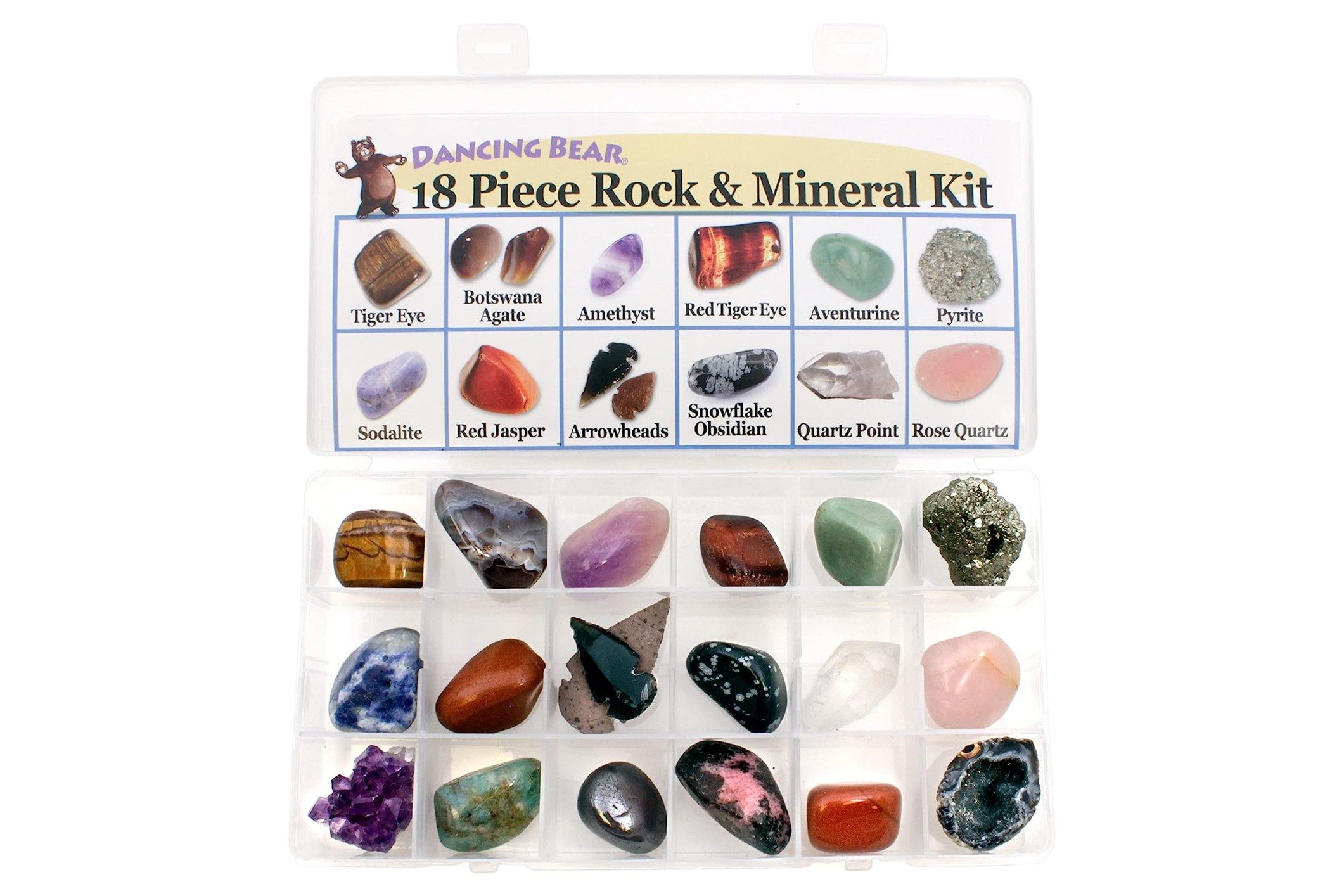 dancing bear rock collection kit