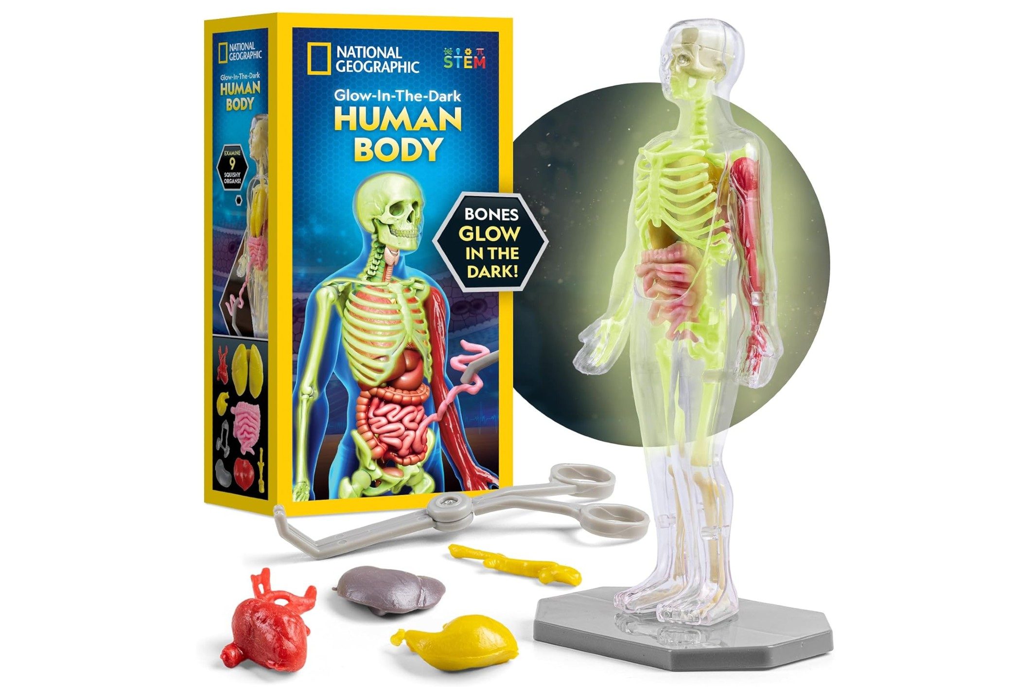 national geographic gifts for 7 year old