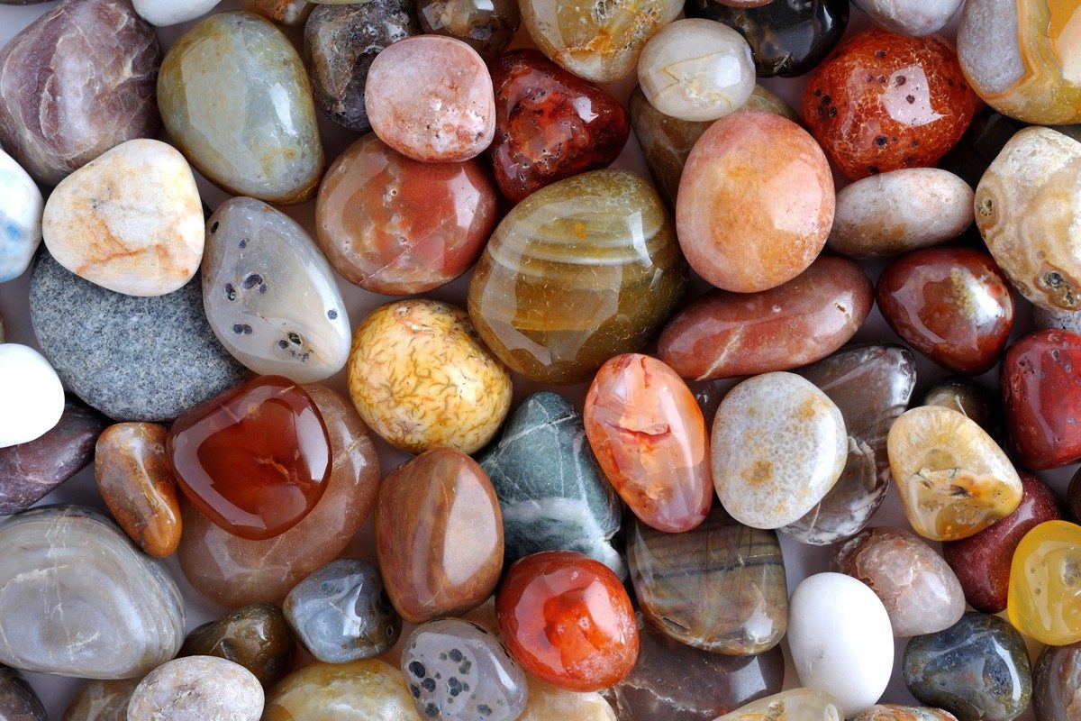 best rock collection kit