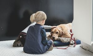 Two children petting a dog.