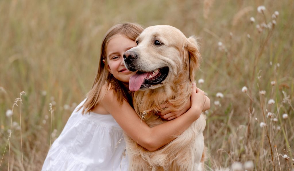 Girl in a field with a golden retriever