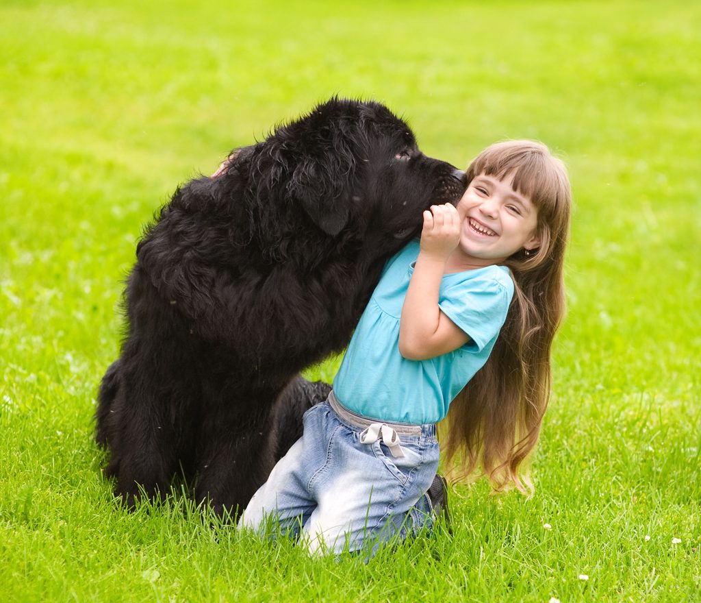 Girl in grass with a black Newfoundland dog
