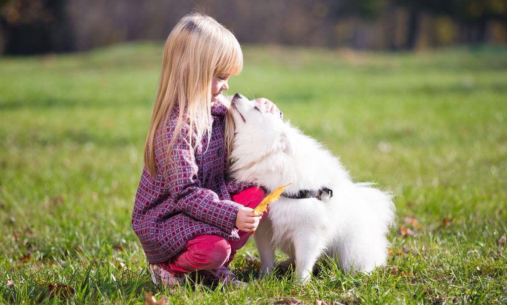 Girl with Japanese Spitz