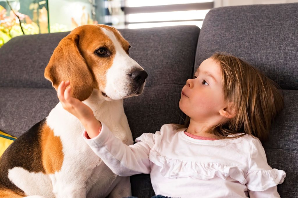 Little girl with a beagle