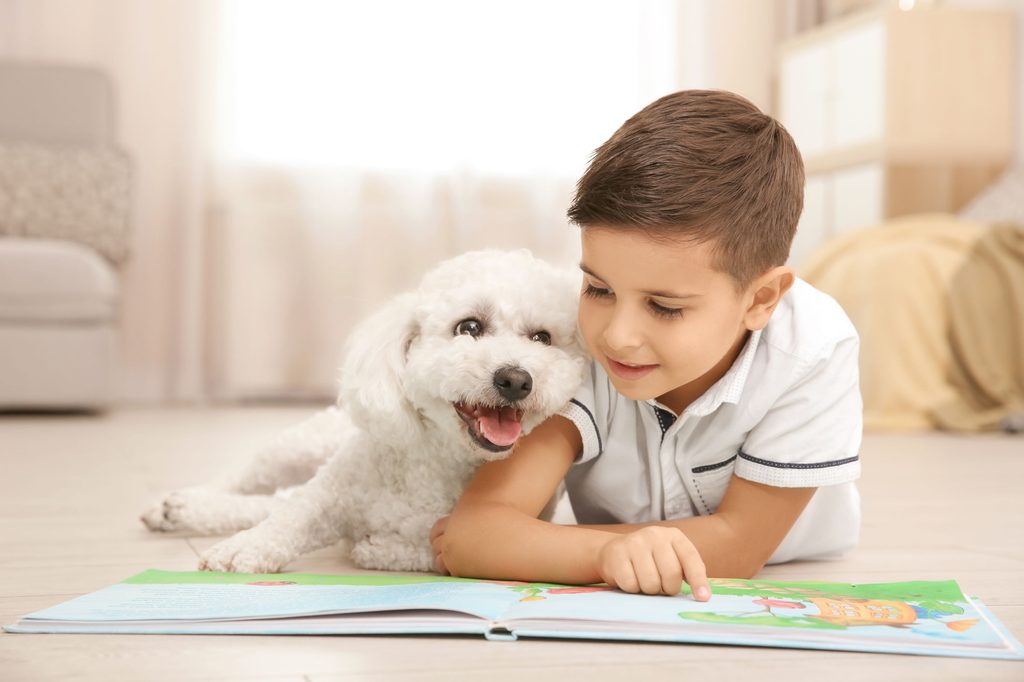 Little boy reading with a bichon frise