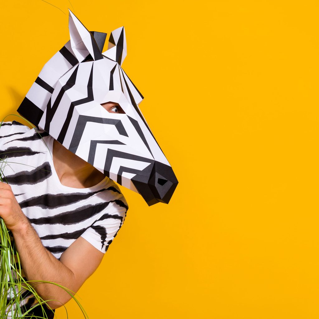 Zebra jungle costume