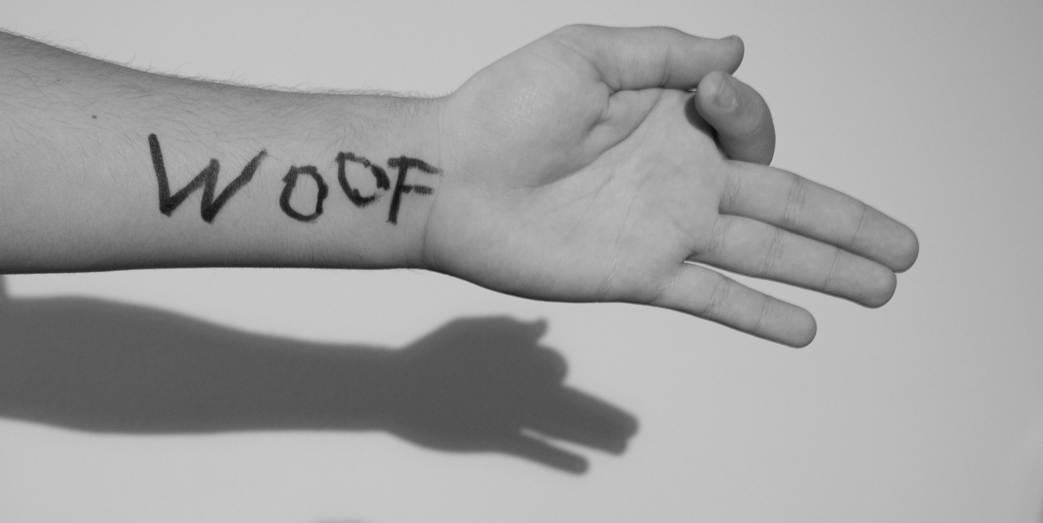 dog shadow puppet made with hands