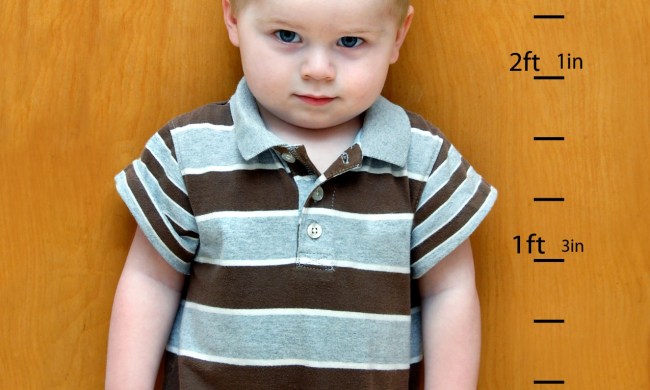 Toddler standing against a growth chart on wall