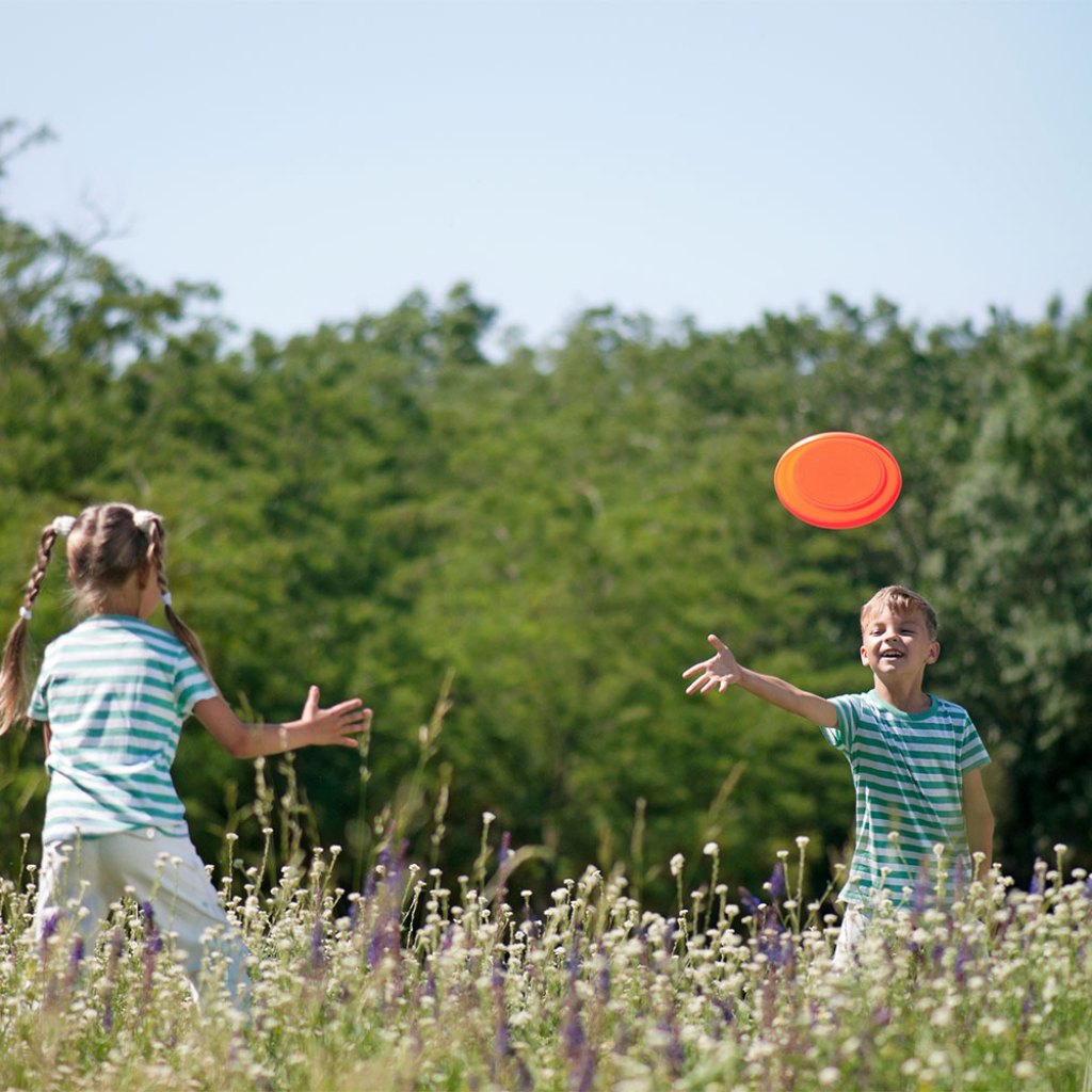 family frisbee