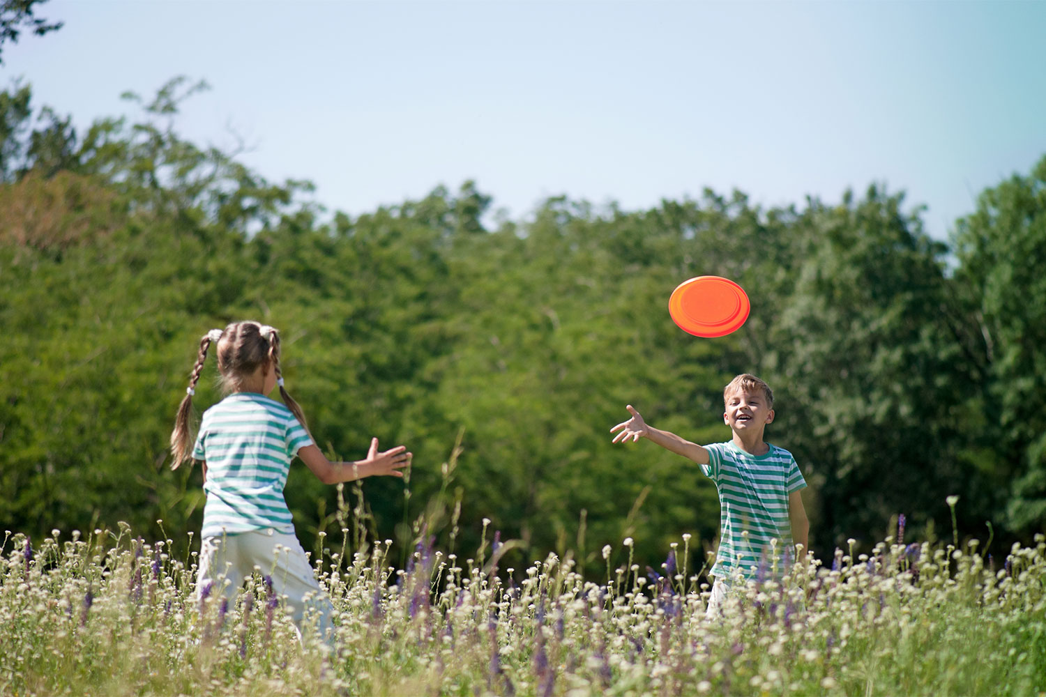 family frisbee