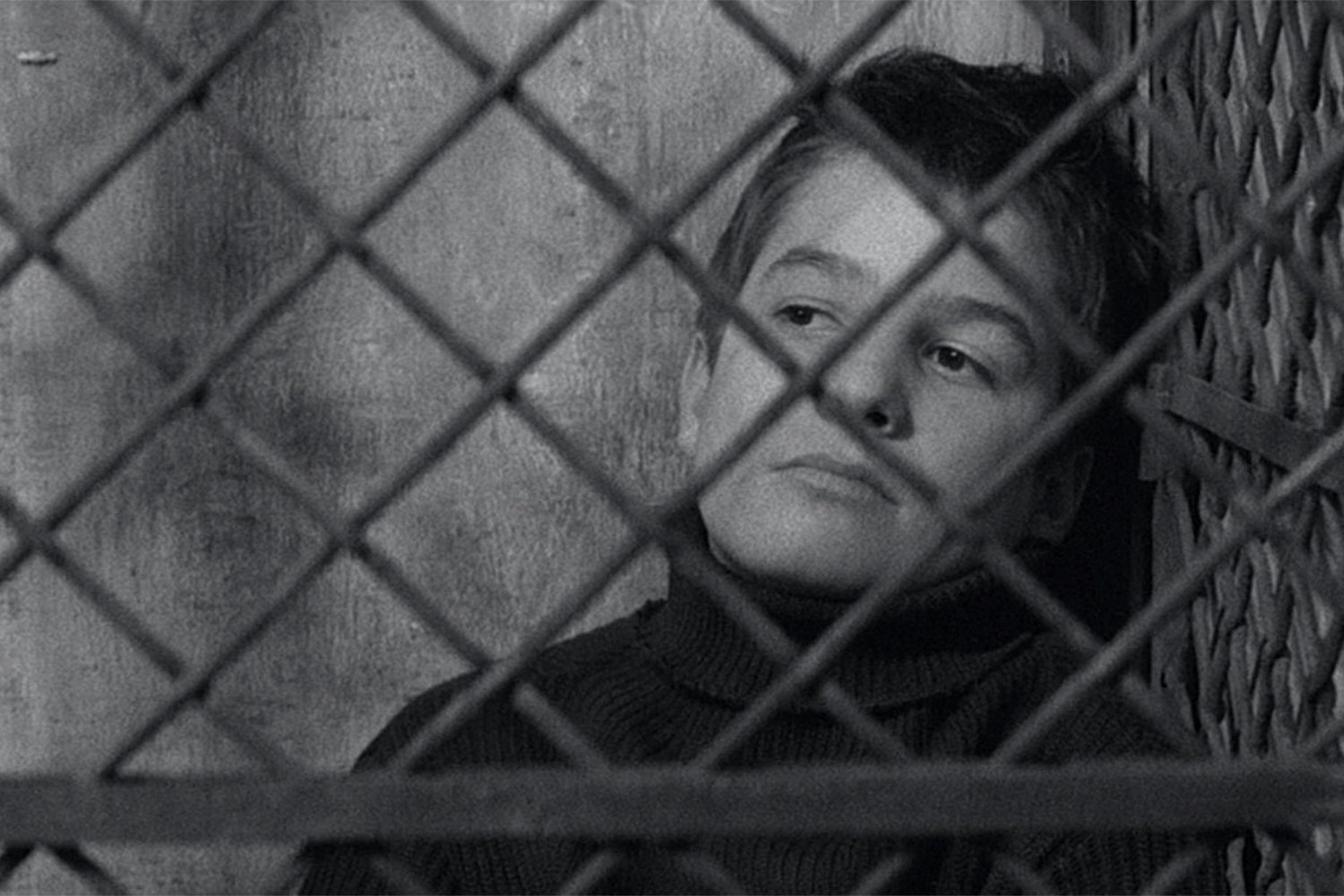 The 400 Blows